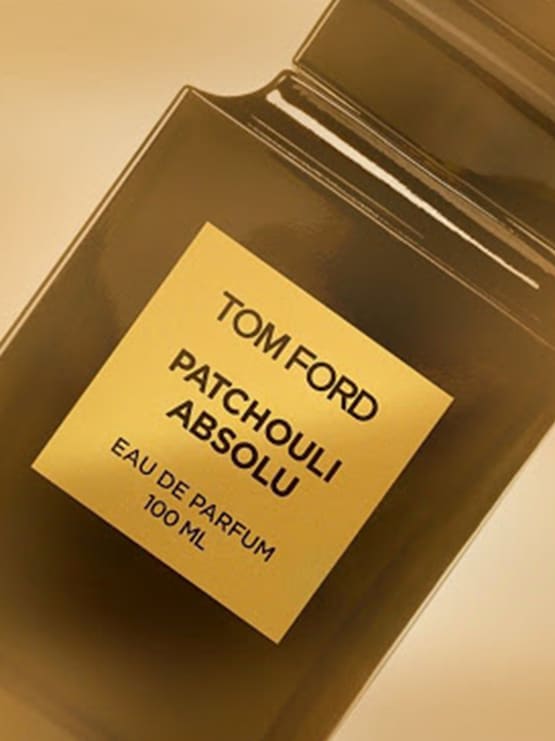 Patchouli Absolu for Men and Women (Unisex), edP 100ml by Tom Ford