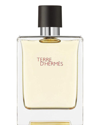Terre D Hermes for Men, edT 100ml (New Packaging) by Hermes