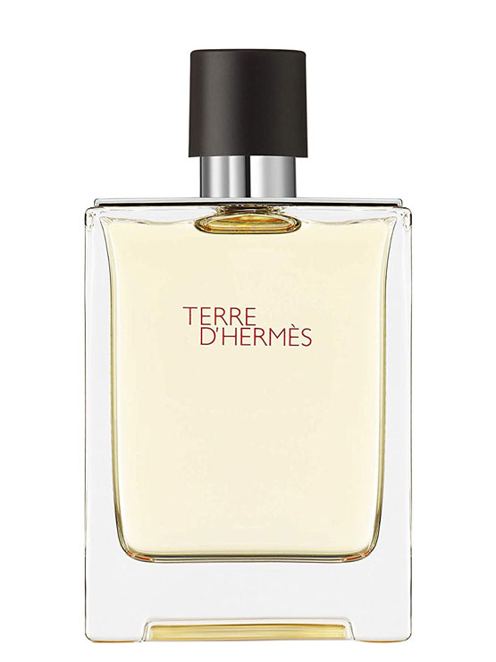 Terre D Hermes for Men, edT 100ml (New Packaging) by Hermes ...